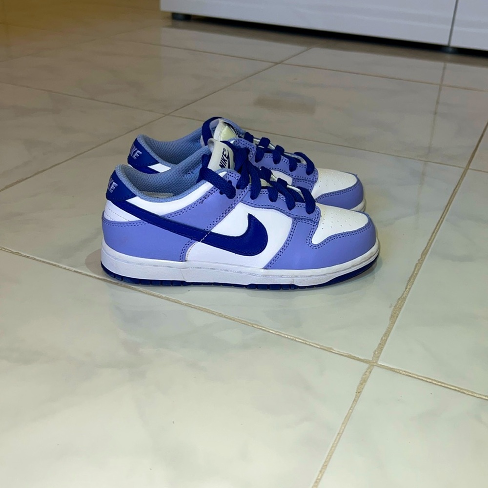 Nike kids “Blueberry” shoes, brand new
